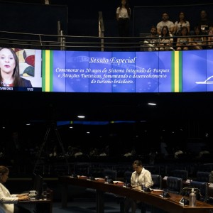 Depoimento da deputada federal Renata Abreu (SP)