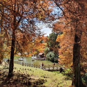 Parque Estadual Campos do Jordão (SP)