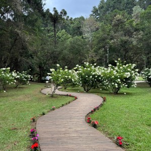 Parque Estadual Campos do Jordão (SP)