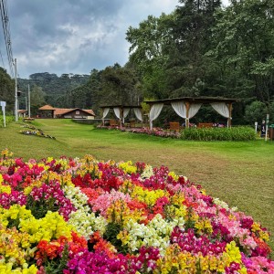 Parque Estadual Campos do Jordão - SP