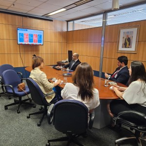 Webinar com MTur sobre Fungetur
