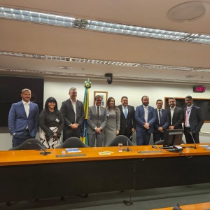Representantes que defenderam o PERSE em audiência da Comissão de Cultura da Câmara