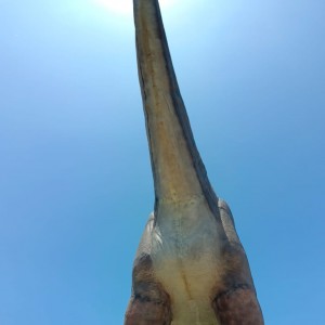 Alchymist Prehistoric Park