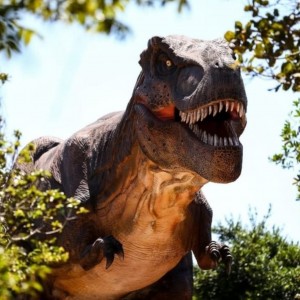 Alchymist Prehistoric Park - CE